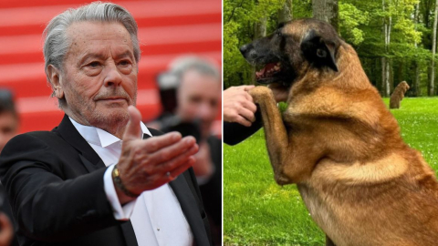 El fallecido actor Alain Delon Loubo y su perro pastor belga malinois llamado 'Loubo'.