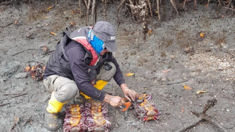 Imagen referencial de controles a la primera veda de cangrejo en Ecuador, en febrero de 2024.