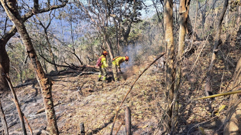 Bomberos trabajan en el incendio forestal en Quilanga, Loja, el 29 e agosto de 2024.