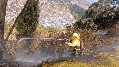 Más riesgo de incendios forestales: Inamhi advierte por fuerte radiación y ráfagas de viento en Ecuador