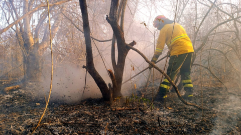 Los bomberos trabajan para sofocar uno de los últimos incendios forestales en Guayaquil.