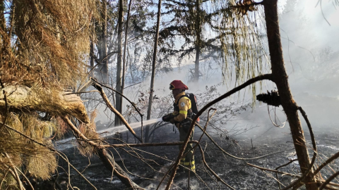 Un bombero de Quito mientras controla el incendio registrado en Quito este domingo 1 de septiembre de 2024.