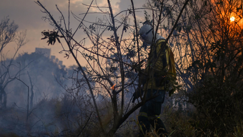 Un brigadista del Instituto Brasilia Ambiental (IBRAM) trabaja en la extinción de un incendio forestal en el Parque Ecológico Burle Marx