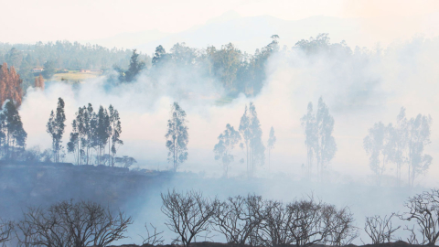 Incendio forestal en Pifo, sector cercano al Aeropuerto de Quito, este 4 de septiembre de 2024.