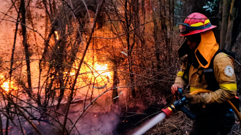 "En media hora creció toda la candela": Habitante de La Cocha cuenta cómo ocurrió el incendio forestal en Pifo