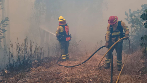 Loja y Pichincha, entre provincias con mayor riesgo de incendios forestales hasta el 11 de septiembre