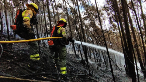 Bombaros de Quito combaten el fuego en la Mena del Hierro, el 7 de septiembre de 2024.