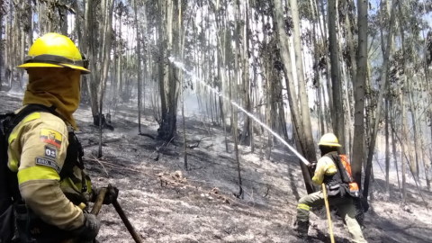 Efectivos del Cuerpo de Bomberos controlaron un incendio forestal en Nono, el 8 de septiembre de 2024.