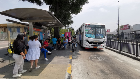 Estas son las ocho cooperativas que desisten del paro en Guayaquil y retoman el servicio