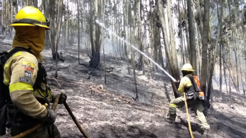 99% de incendios forestales son provocados, asegura Alcalde de Quito