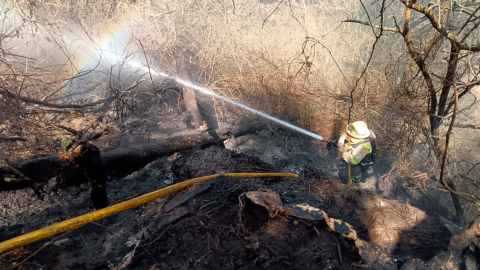 Incendio forestal se registra en Pomasqui, la tarde de este 11 de septiembre