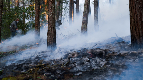 Incendio forestal en Los Álamos, en Cuenca, que afectó gran cantidad de flora y fauna.