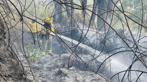 Bomberos apagando el incendio en Toglla ubicado en el cerro Ilaló, 15 de septiembre de 2024.