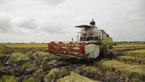 Fotografía referencial de maquinaria agrícola cosechando arroz en una localidad de Guayas en 2019