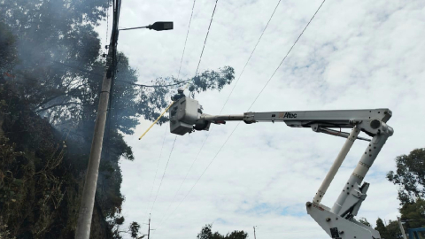 Caída de un árbol ocasiona apagón en zonas del norte de Quito