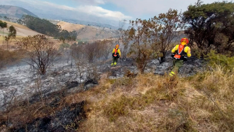 Incendios forestales en Quito: Bomberos atienden más casos, mientras se mantiene combate en Guápulo