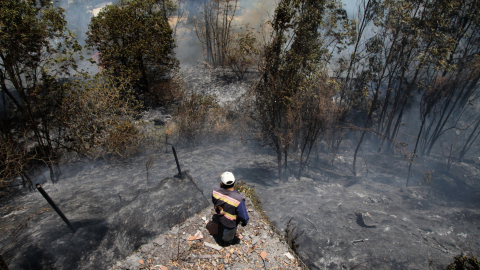 Así se ven las zonas devastadas por el gran incendio forestal en Quito, este 25 de septiembre de 2024.