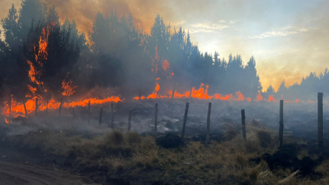 Incendio forestal de grandes proporciones se registra en Cotopaxi.