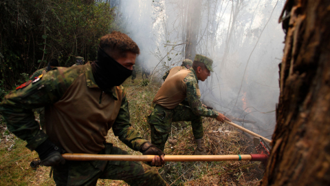 Lo último que debe saber sobre los incendios forestales en Quito