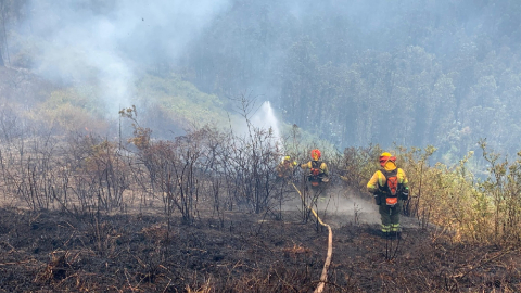 incendio quito