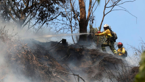 Estas son las seis personas detenidas por incendios forestales en Quito