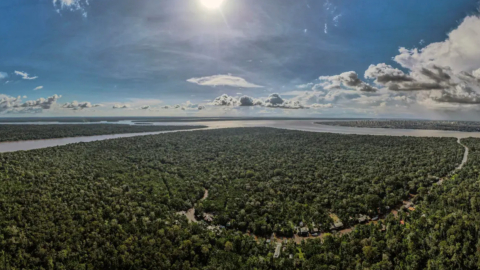 Vista aérea de una zona de la Floresta Amazónica, en el estado de Pará, norte de Brasil, .