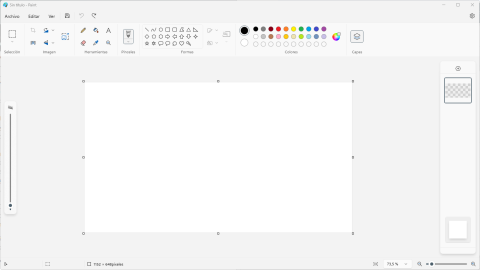 Captura de pantalla en la que se ve el programa Paint corriendo en una computadora con Windows 11.