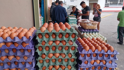 Huevos Mercado Mayorista Ambato.