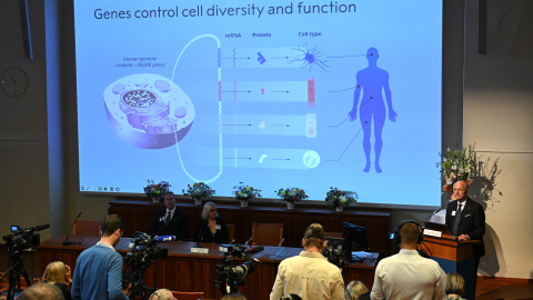 Olle Kaempe, de la academia sueca, muestra los resultados de la investigación de Victor Ambros y Gary Ruvkum, que el 7 de octubre de 2024 fueron anunciados como ganadores del Premio Nobel de Medicina.