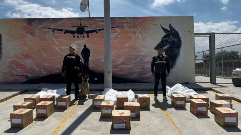 Cajas de encomiendas con harina para la colada morada y tazas estaban contaminadas con cocaína, en Quito.