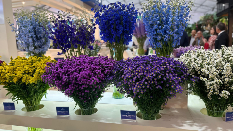 Exhibición de flores en la feria Expo Flor Ecuador 2024, en Quito, el 8 de octubre de 2024.