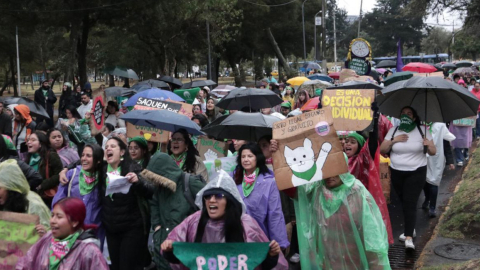 Marcha por la despenalización del aborto, 28 de septiembre de 2024.