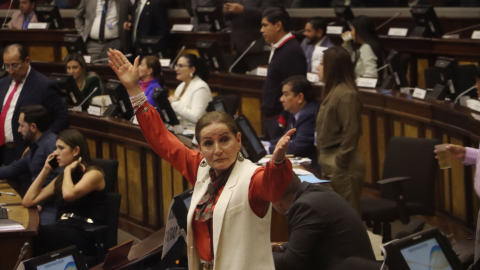 En la Asamblea hubo momentos de tensión este 17 de octubre de 2024 mientras se debatía la continuidad del juicio político a Mónica Palencia.