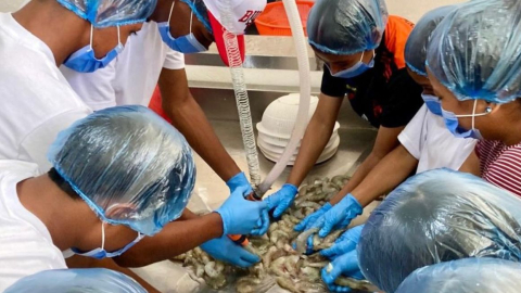 Imagen referencial. Trabajadores de Esmeraldas en una capacitación del Ministerio de Producción el 5 de agosto de 2024.