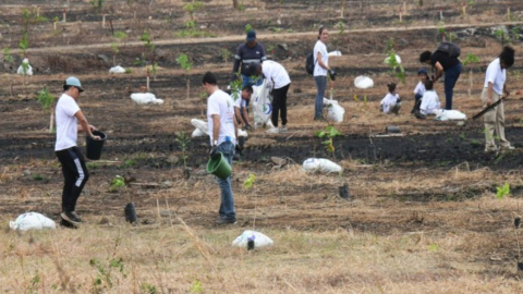 Ciudadanos guayaquileños durante la primera jornada de reforestación en Los Samanes, 20 de octubre de 2024.