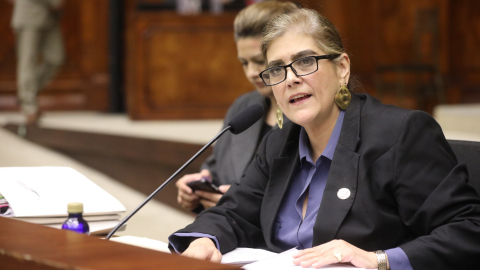 La ministra Mónica Palencia, en el pleno de la Asamblea Nacional. Quito, 23 de octubre de 2024