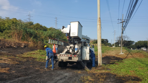 Obreros de CNEL realizan trabajos en la sublínea de transmisión eléctrica Cemento, en la vía a la Costa, el 12 de agosto de 2024.