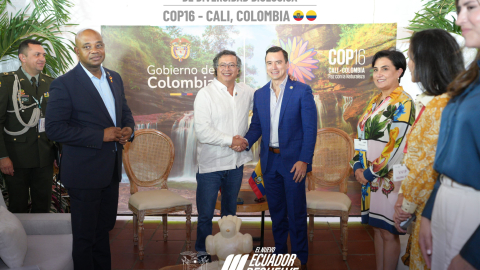 Los presidentes Gustavo Petro y Daniel Noboa, en su encuentro bilateral en Cali, 29 de octubre de 2024.