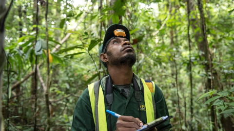 Fotografía referencial de un miembro de la Iniciativa Nacional de Bosques de Papúa Nueva Guinea que revisa un bosque para ser incluido en mercados de carbono, en mayo de 2023.