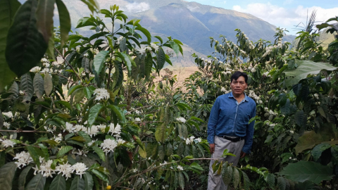 José Miguel Villa con su finca Las Palmeras, en Pallatanga, se convirtió en el ganador de la Taza Dorada en Nueva York.