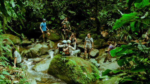 La increíble historia de Los Cedros en Ecuador, cuyo su bosque podría ser autor de una canción