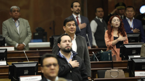 El Pleno de la Asamblea en la sesión de este 12 de noviembre de 2024.