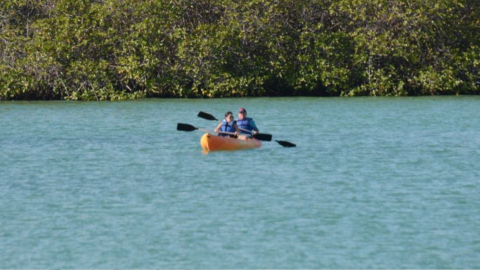 Imagen referencial de Galápagos.