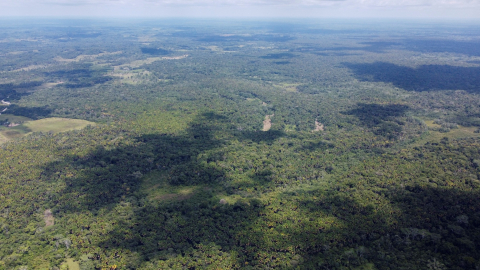 Vista aérea de la selva en la zona rural de Puerto Asís, departamento del Putumayo (Colombia), cerca de la frontera con Ecuador.