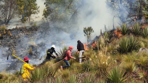 bomberos en un incendio forestal en cuenca