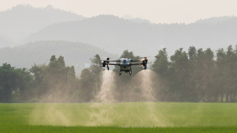 Un dron DJI como los que se encuentran en Ecuador es usado en un campo para dispersar producto de fumigación.