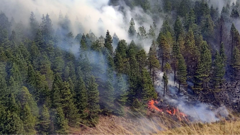 incendio forestal en parque nacional cajas