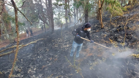 Un grupo de voluntarios apoyó en los incendios en Zamora Huayco, en Loja.