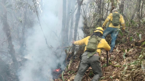 Unión Europea donará USD 26.000 a 100 familias afectadas por incendios forestales en Loja