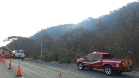 Personal del Cuerpo de Bomberos tratan de controlar el incendio forestal que empezó en una pendiente del Cerro Azul. Guayaquil, 2 de diciembre de 2024